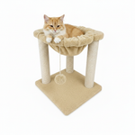 Cat sitting in cat tree hammock