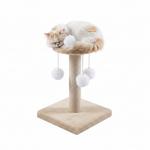 Cat Sleeping on Top