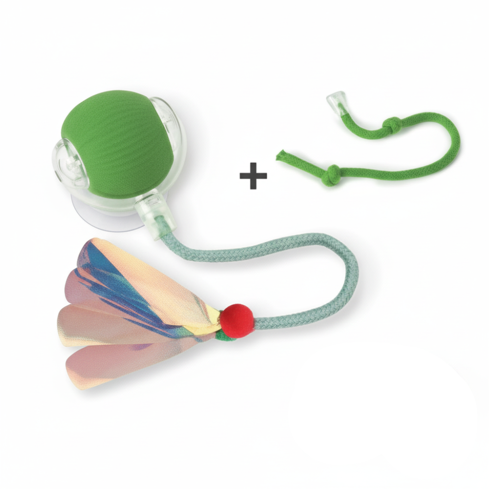 Cat toy set on white background
