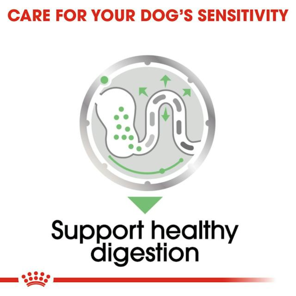 Royal Canin Dog Digestive Care Loaf Pouch 85g Petfast.shop Royal Canin Dog Food Wet Food petfast.shop EgyptDefault Title 0.00