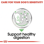 Royal Canin Dog Digestive Care Loaf Pouch 85g Petfast.shop Royal Canin Dog Food Wet Food petfast.shop EgyptDefault Title 0.00