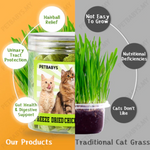 Cat Freeze Dried Chicken Cube 50g Petfast.shop PetLusci Cat Chewy Treat Treats petfast.shop EgyptDefault Title 250.00