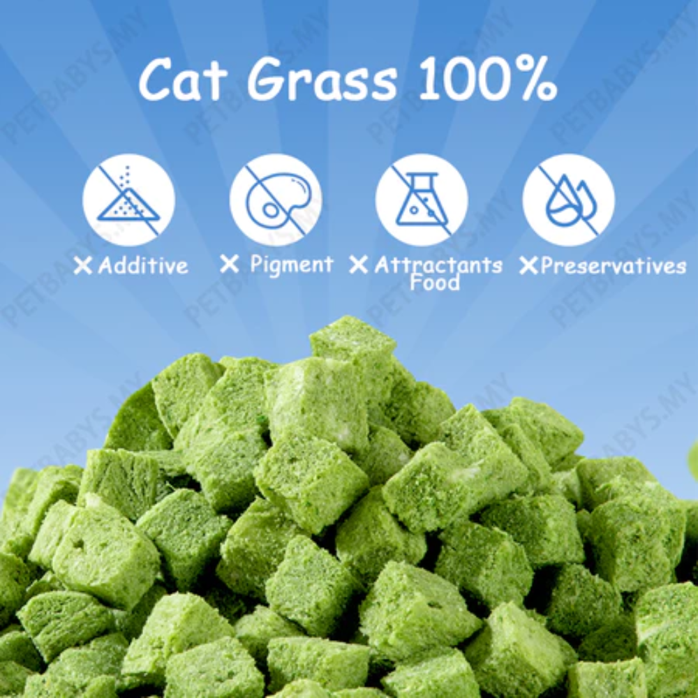 Cat Freeze Dried Chicken Cube 50g Petfast.shop PetLusci Cat Chewy Treat Treats petfast.shop EgyptDefault Title 250.00