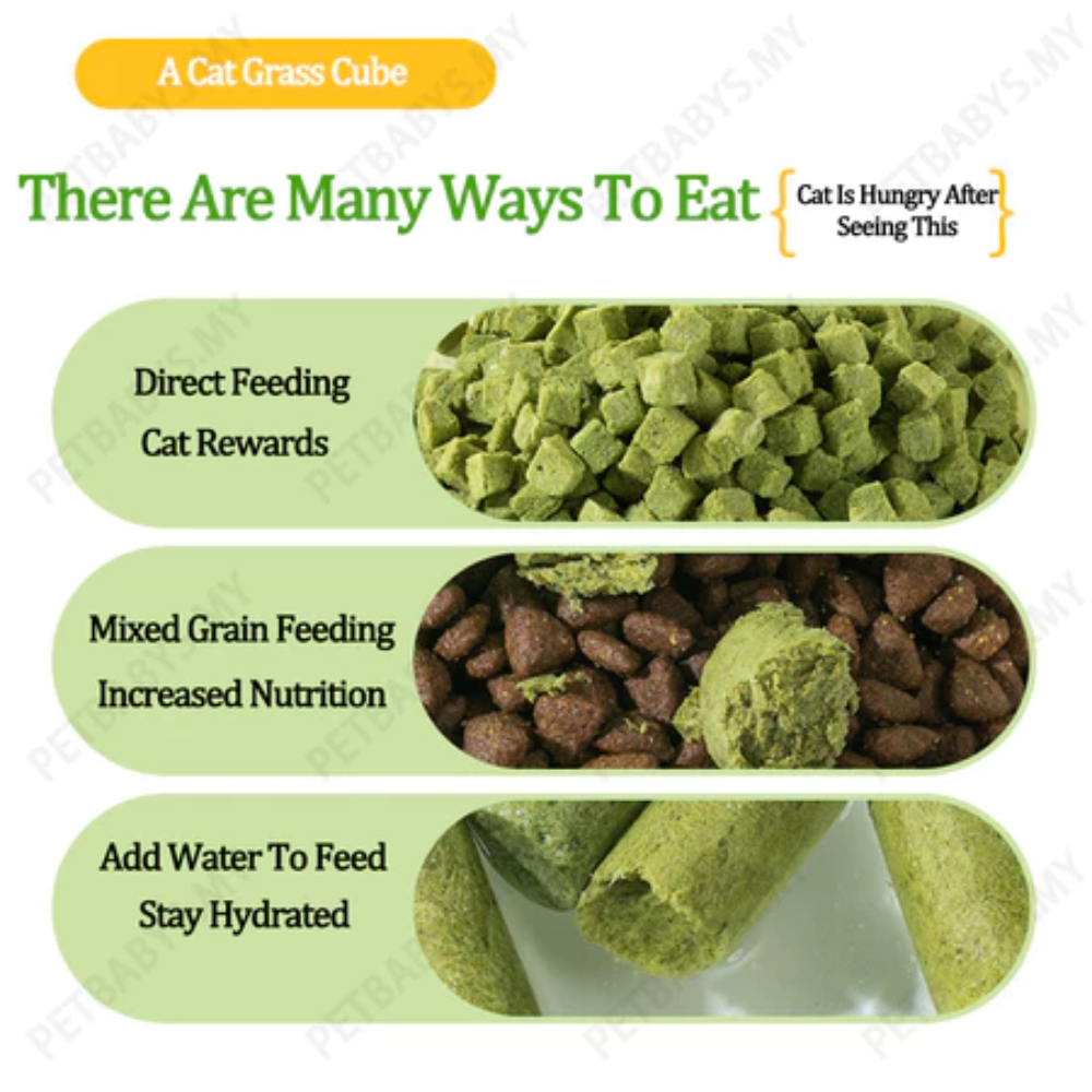 Cat Freeze Dried Chicken Cube 50g Petfast.shop PetLusci Cat Chewy Treat Treats petfast.shop EgyptDefault Title 250.00