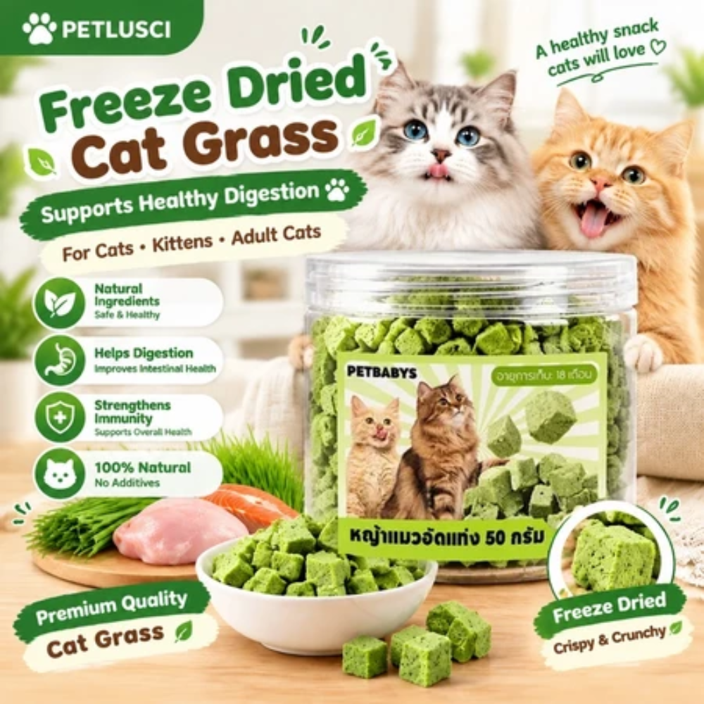 Cat Freeze Dried Chicken Cube 50g Petfast.shop PetLusci Cat Chewy Treat Treats petfast.shop EgyptDefault Title 250.00