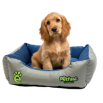 Petfast Bed Winter & Summer Size Medium (60*50Cm) Petfast.shop PetFast bed Cat Dog Summer Supplies petfast.shop Egypt PPE4481S Blue 850.00