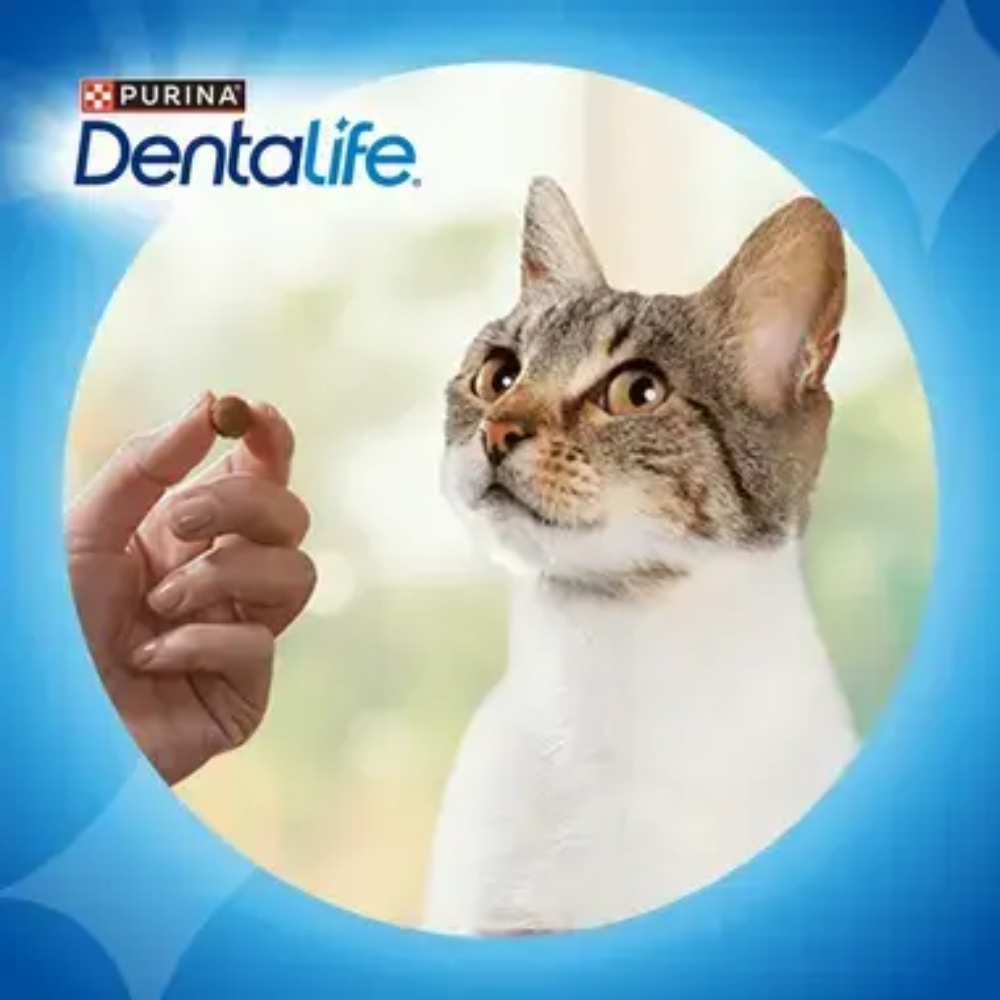 Dentalife Cat Treat Every Day Oral Care with Chicken 40g Petfast.shop Dentalife Cat Dental Treat Treats petfast.shop EgyptDefault Title 299.00