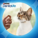 Dentalife Cat Treat Every Day Oral Care with Chicken 40g Petfast.shop Dentalife Cat Dental Treat Treats petfast.shop EgyptDefault Title 299.00