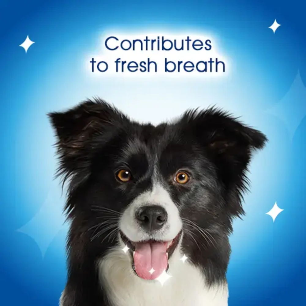 Dentalife Dog Treat for Medium (12-25Kg) Oral Care 3 Sticks 69g Petfast.shop Dentalife Dental Treat Dog Treats petfast.shop EgyptDefault Title 349.00