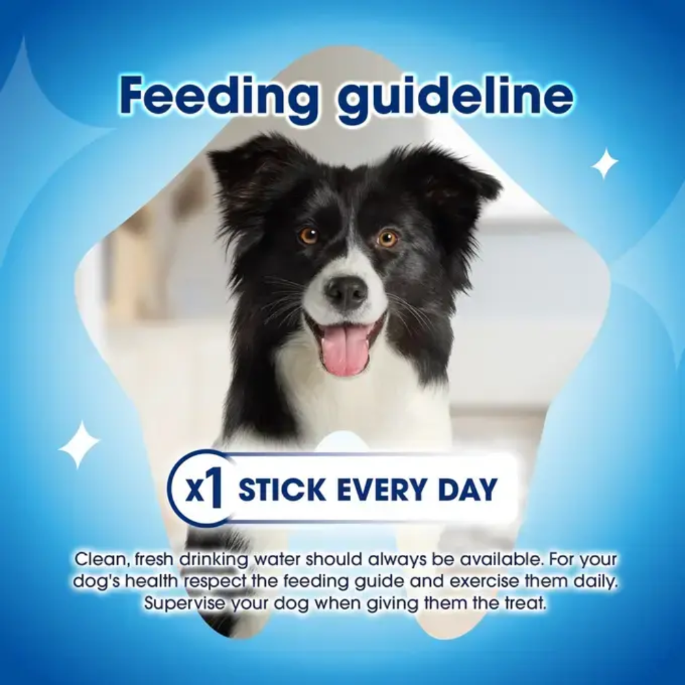 Dentalife Dog Treat for Medium (12-25Kg) Oral Care 3 Sticks 69g Petfast.shop Dentalife Dental Treat Dog Treats petfast.shop EgyptDefault Title 349.00