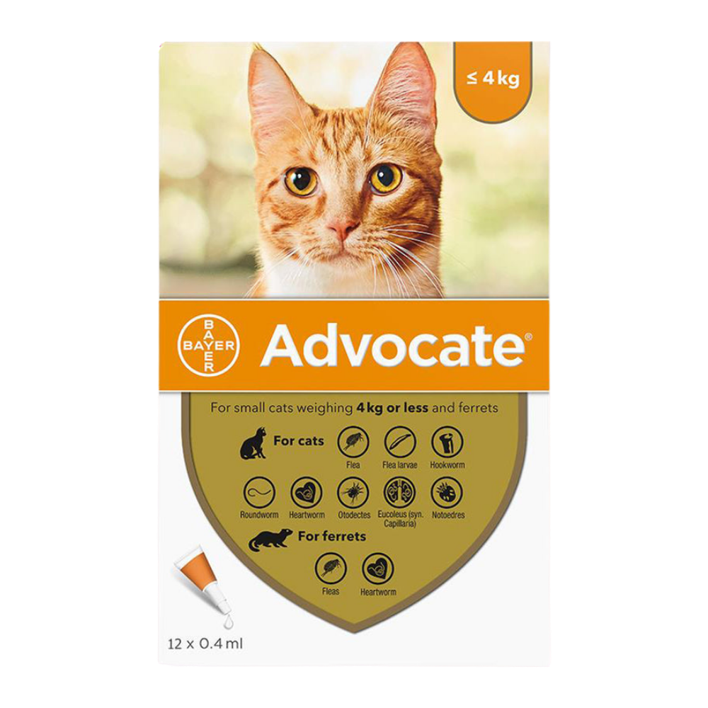 Advocate For Small Cat - 1 Ampoule Petfast.shop Advocate Cat Flea & Tick Heartworm & Dewormers Pharmacy petfast.shop Egypt 500.00