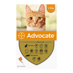 Advocate For Small Cat - 1 Ampoule Petfast.shop Advocate Cat Flea & Tick Heartworm & Dewormers Pharmacy petfast.shop Egypt 500.00