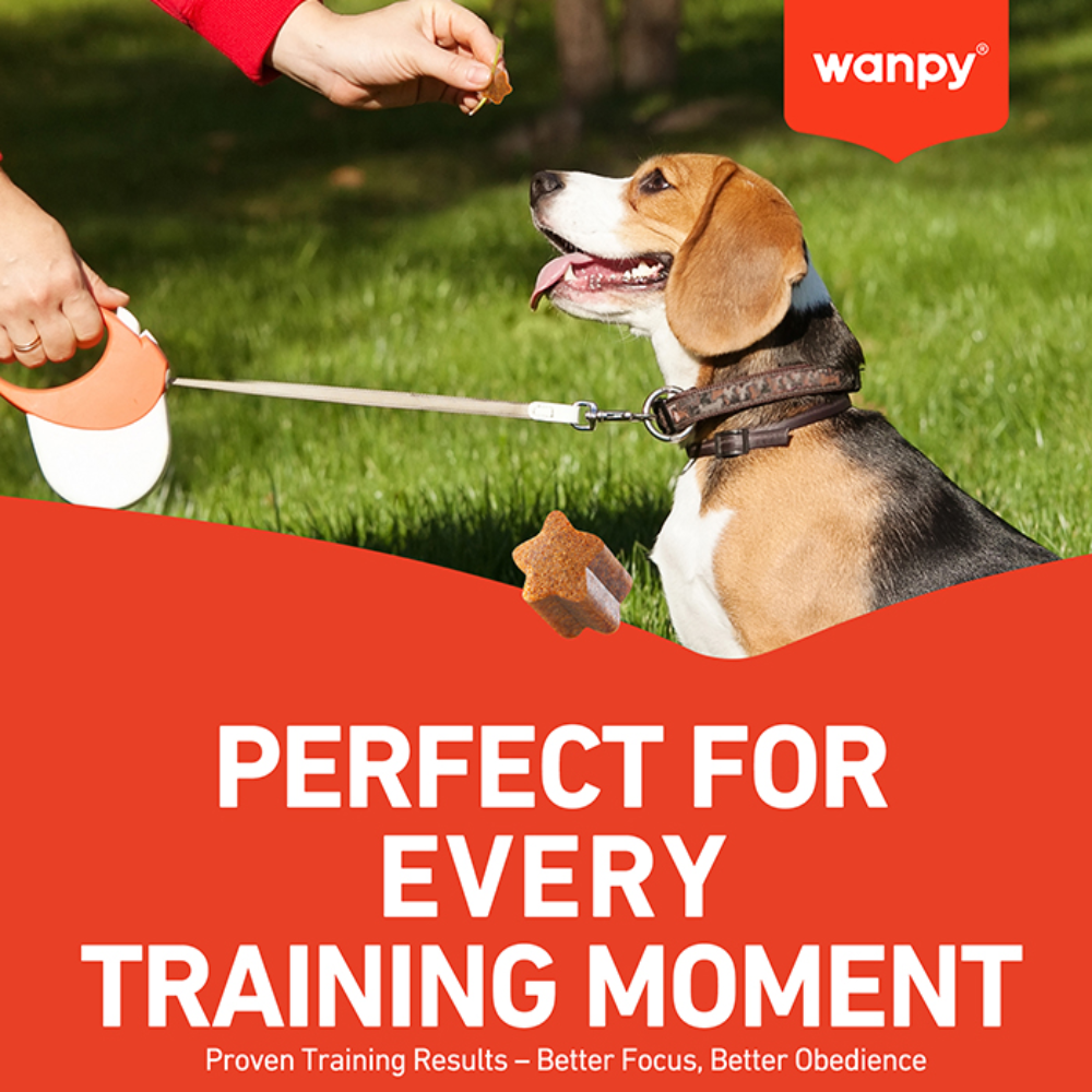 Wanpy Treat For Adult Dog Training Bites Chicken 100 g