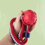 Red dog toy with a rope held by a hand against a light green background