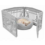 Dog in Playpen with Bed