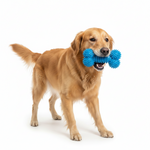 Bomei Pet Bone Dog Toy Petfast.shop Bomei Dog Supplies Toys petfast.shop EgyptLime 130.00