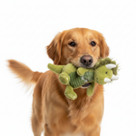 Bomei Pet Dog Dinosaur Plush Toy