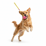 Bomei Pet Dog Chew Ball with Rope Toys Petfast.shop Bomei Dog Supplies Toys petfast.shop EgyptBlue 99.00
