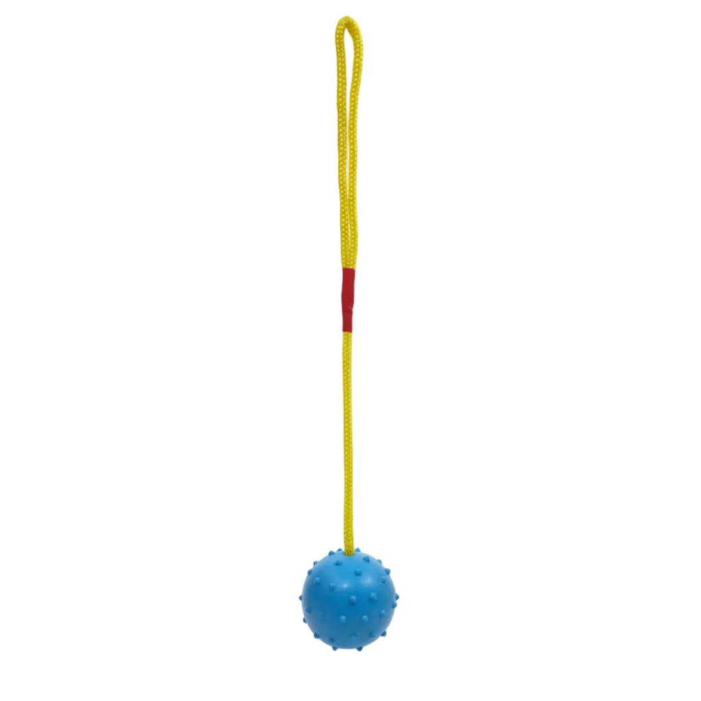 Bomei Pet Dog Chew Ball with Rope Toys Petfast.shop Bomei Dog Supplies Toys petfast.shop EgyptBlue 99.00