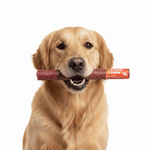 Dog with Unwrapped Treat