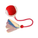 Colorful toy with a red ball and rope on a white background
