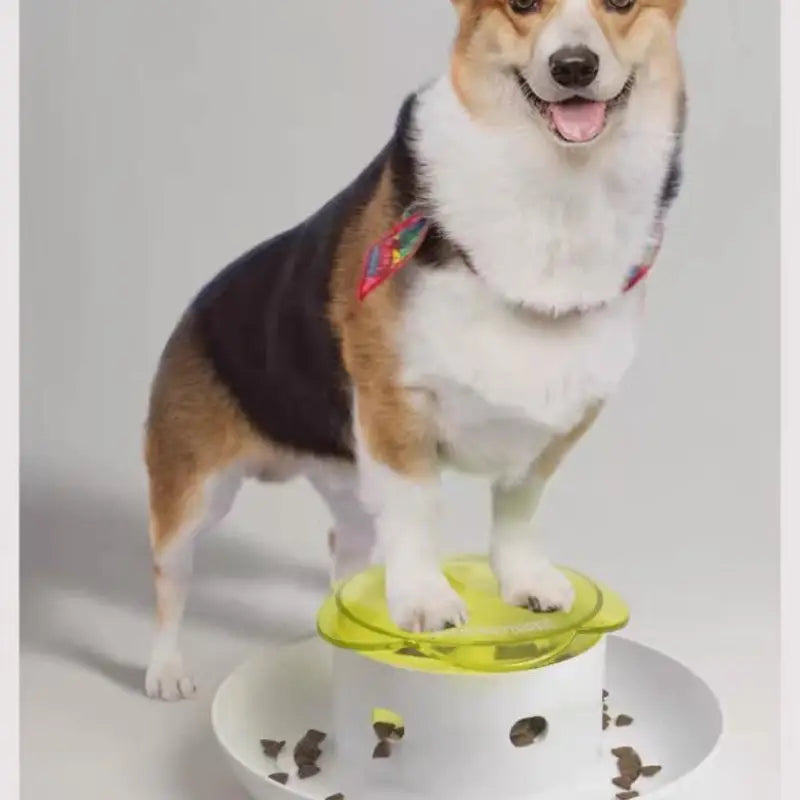 Pet Press Slow Feeder.