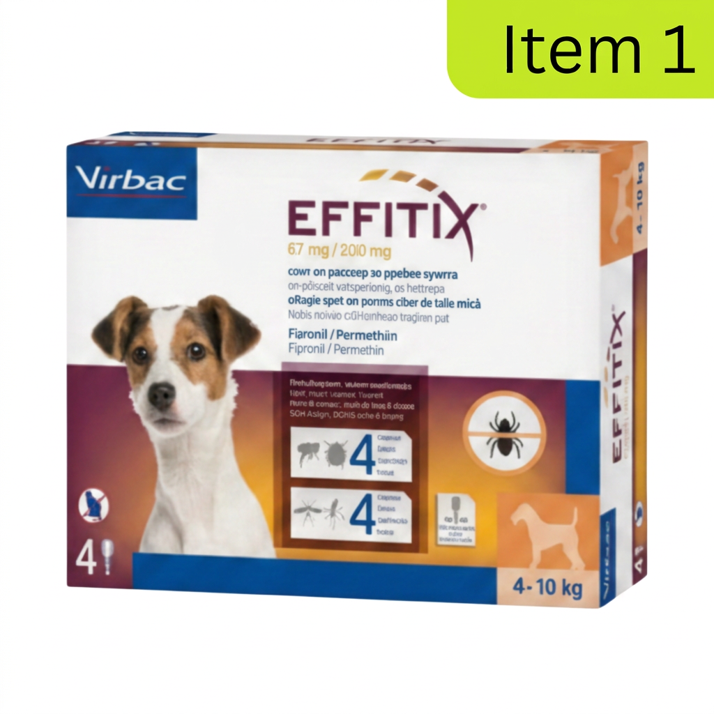 Effitix Item 1