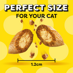Dreamies Cat Treat with Irresistible Catnip Flavors 60g