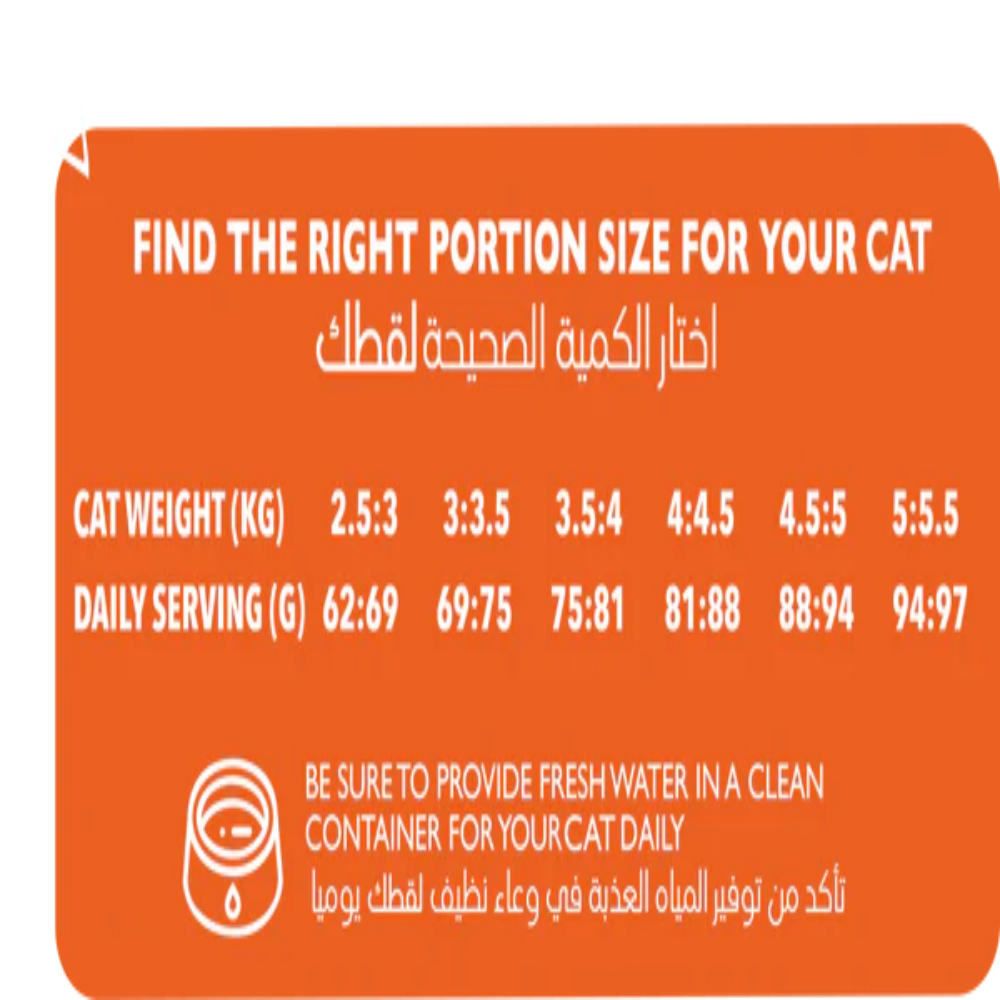 Orange chart for finding the right portion size for a cat based on its weight.