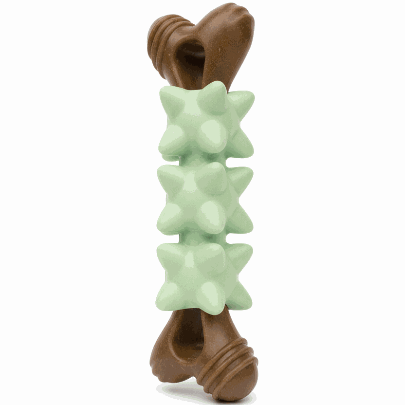 Fish-shaped pet chew toy green standing