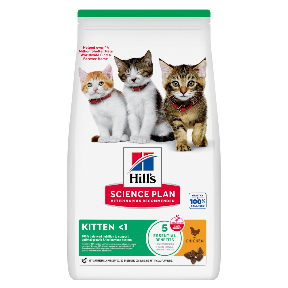Hill's Science Plan Kitten Food with Chicken Petfast.shop Hill's Cat Dry Food Food Kitten petfast.shop Egypt300g 450.00