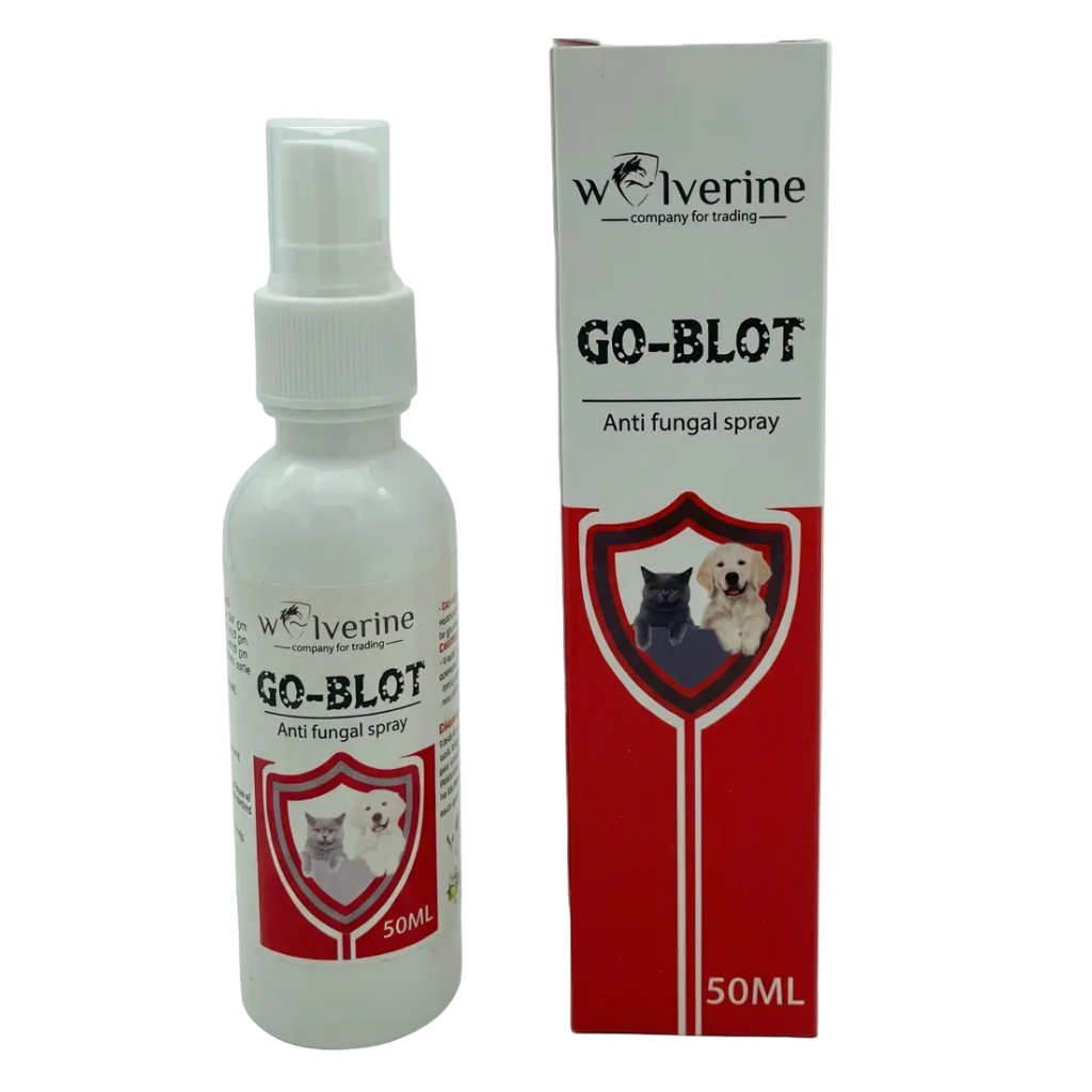 عبوة GO-BLOT مع العلبة بخلفية بيضاء مقاس 1000×1000