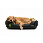 Golden Retriever Sleeping in Black Tan Bed
