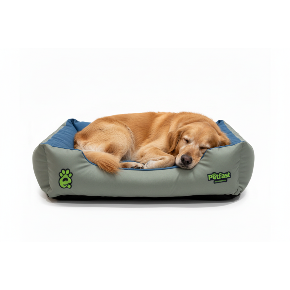 Golden Retriever Sleeping in Grey Blue Bed