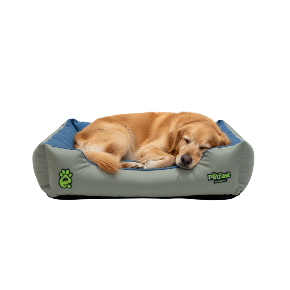 Golden Retriever Sleeping in Grey Blue Bed