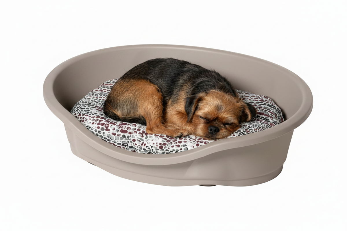 Griffon Sleeping in Snake Print Bed