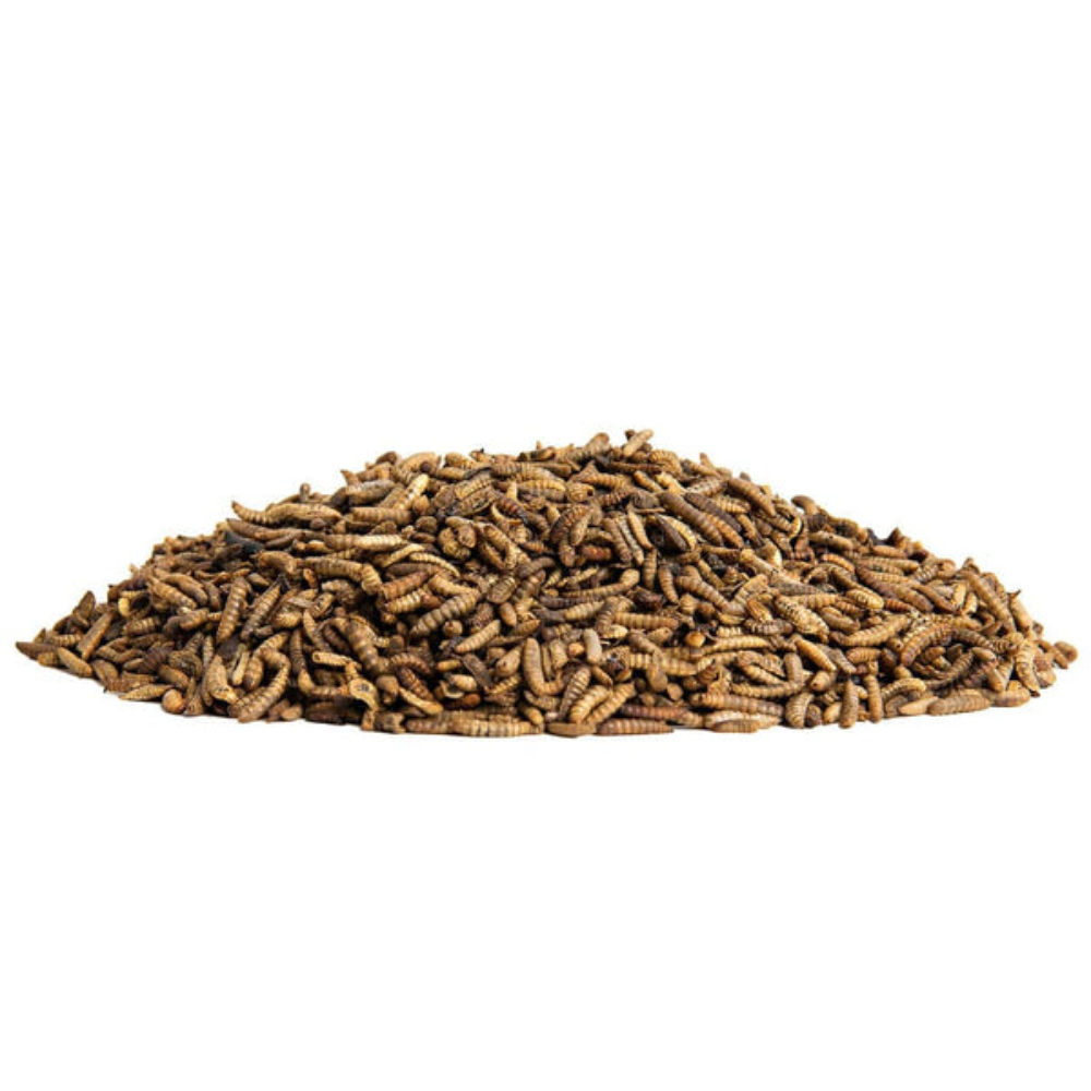 Tasty Grubs Fish & Bird Food 125ml Petfast.shop Generic Bird Fish Food petfast.shop EgyptDefault Title 75.00