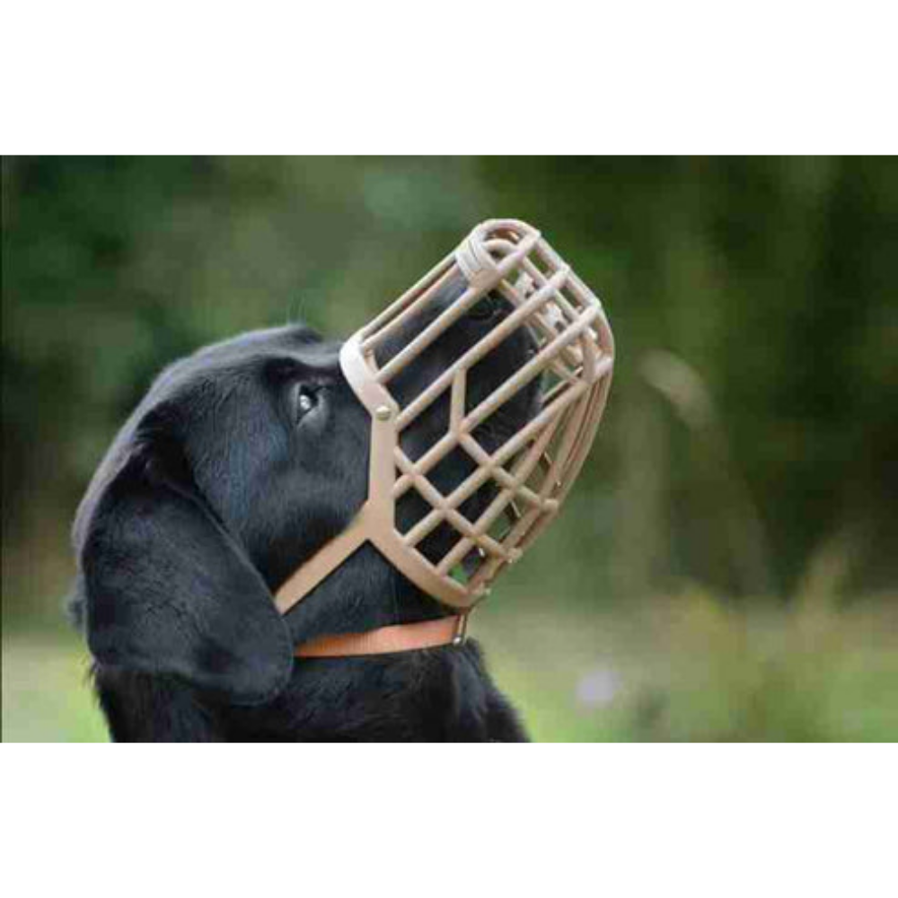 Dog Muzzle Plastic Size 6