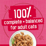 Friskies Prime Filets With Salmon & Beef in Sauce Wet Cat Food 156g
