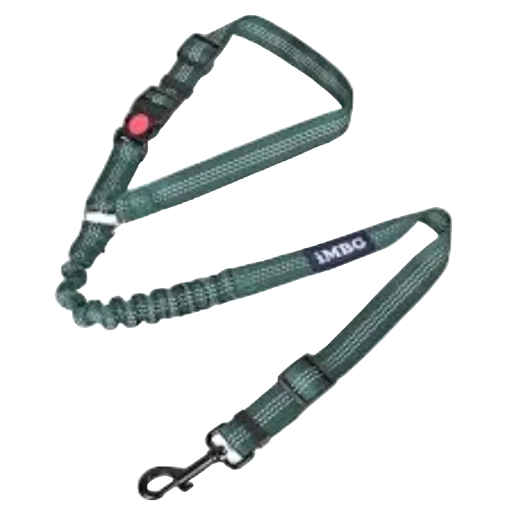 iMBG Headrest Dog Seat Belts for CarColor Green