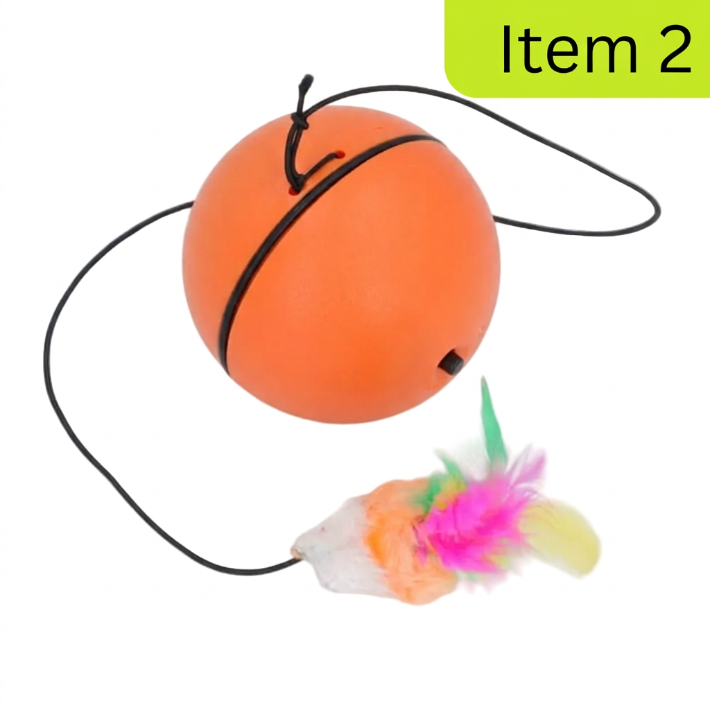 الكرة بالريشة Item 2