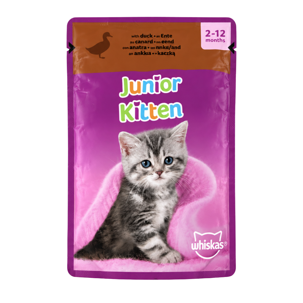 عبوة Junior Kitten باللون البني بخلفية بيضاء