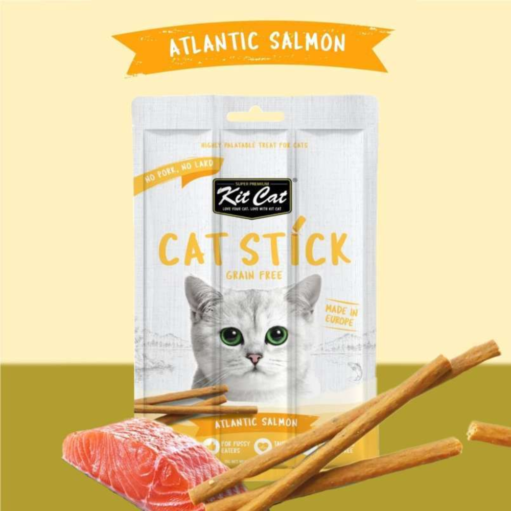 Kit Cat Cat Stick packaging with Atlantic Salmon flavor on a yellow and green gradient background
