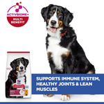 Hill's Science Plan Large Breed Adult Dog Food with Chicken Petfast.shop Hill's Dog Dry Food Food petfast.shop Egypt2.5K 1460.00