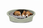 Medium Dog Sleeping in Green Bed