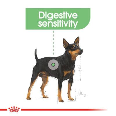 Royal Canin Dog Food Mini Digestive Care 3 Kg Petfast.shop Royal Canin Dog Dry Food Food petfast.shop EgyptDefault Title 2400.00