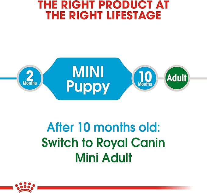 Royal Canin Mini Puppy Small Breed Dog Food.