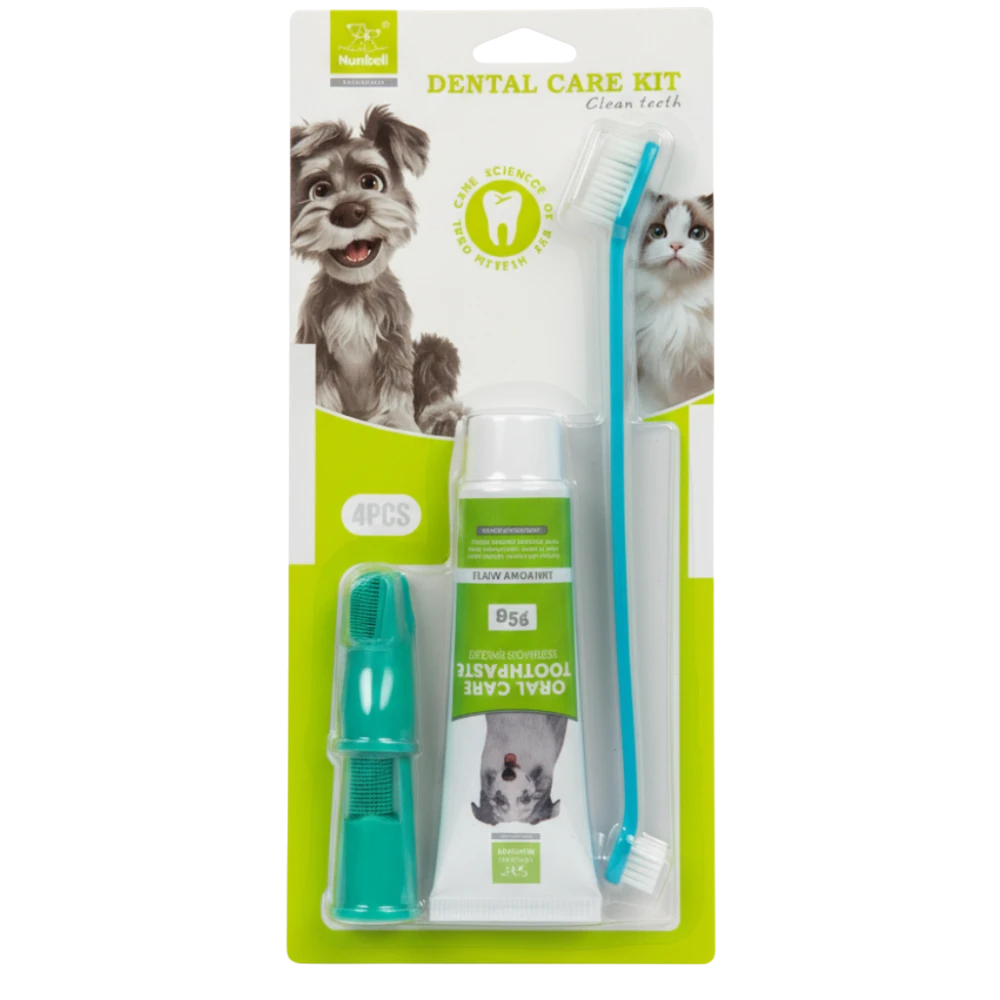 Nunbell Dental Care Kit أخضر/تركواز على خلفية بيضاء