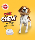 Dog holding a chew toy with Pedigree branding on a yellow background