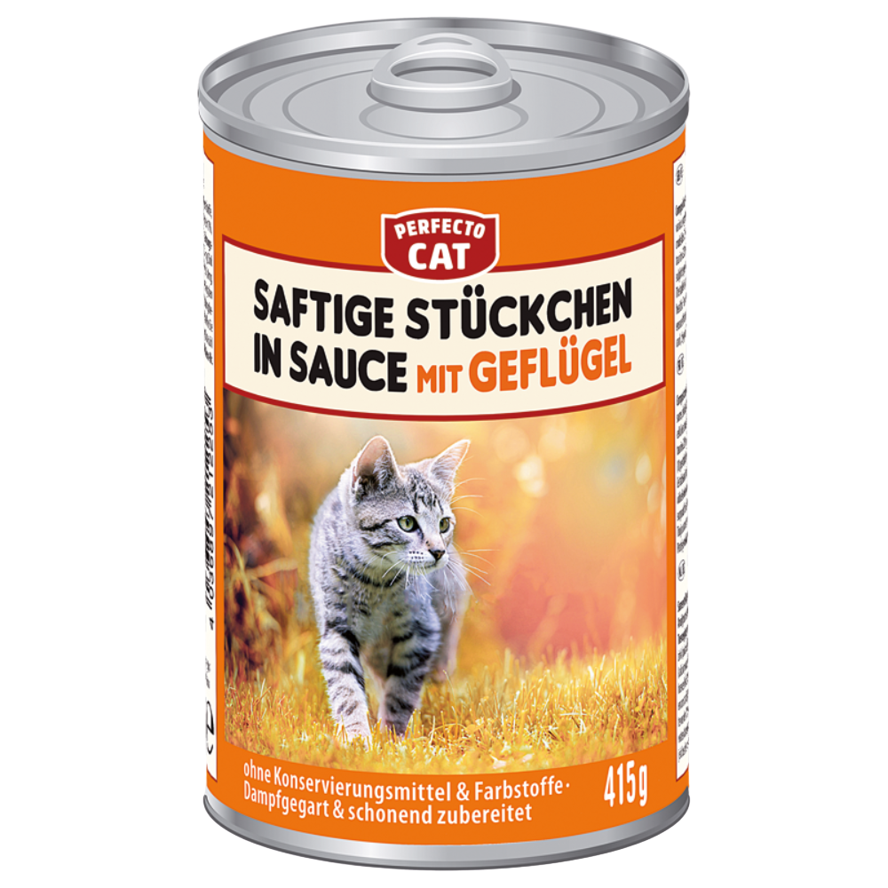 Can of Perfecto Cat cat food with a cat on the label against a white background